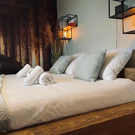 Luxe,calme Et Volupté Appartement Amphion-les-Bains
